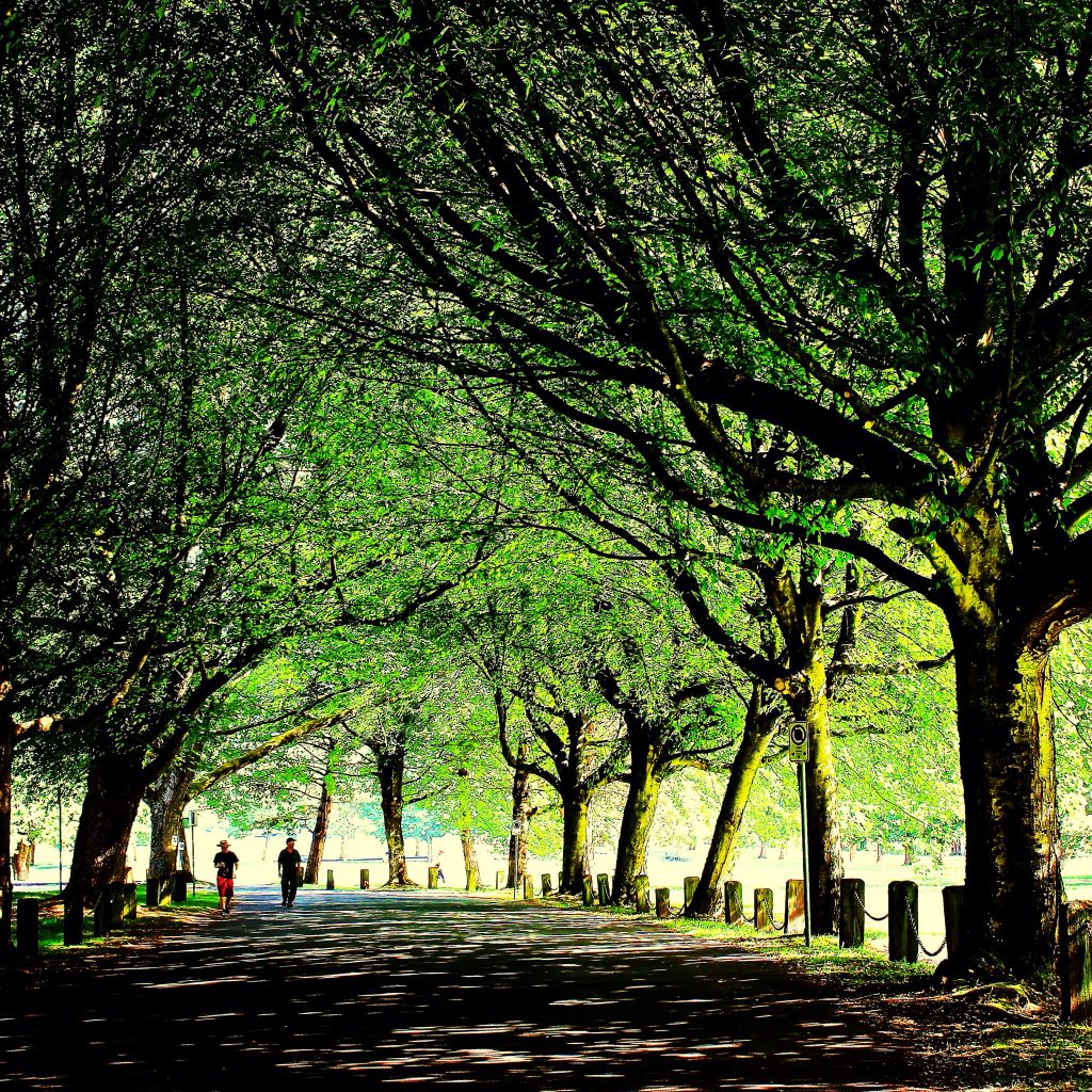 예약 단계에서 안산 특화 코스를 선택하고 프라이빗 안내를 활용하는 방법